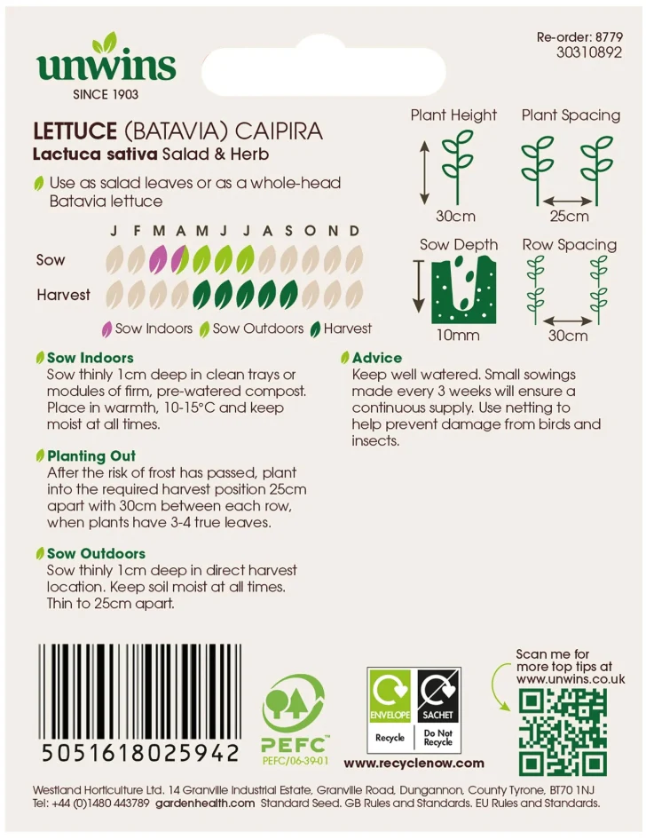 Unwins Batavia Lettuce Caipira Seeds - Image 2