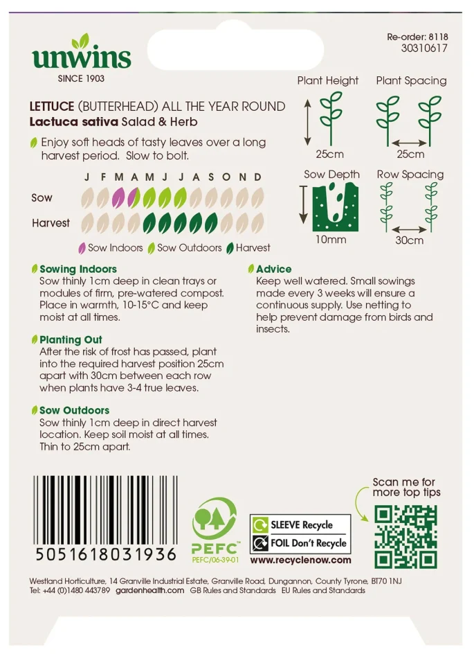 Unwins Butterhead Lettuce All the Year Round Seeds - Image 2