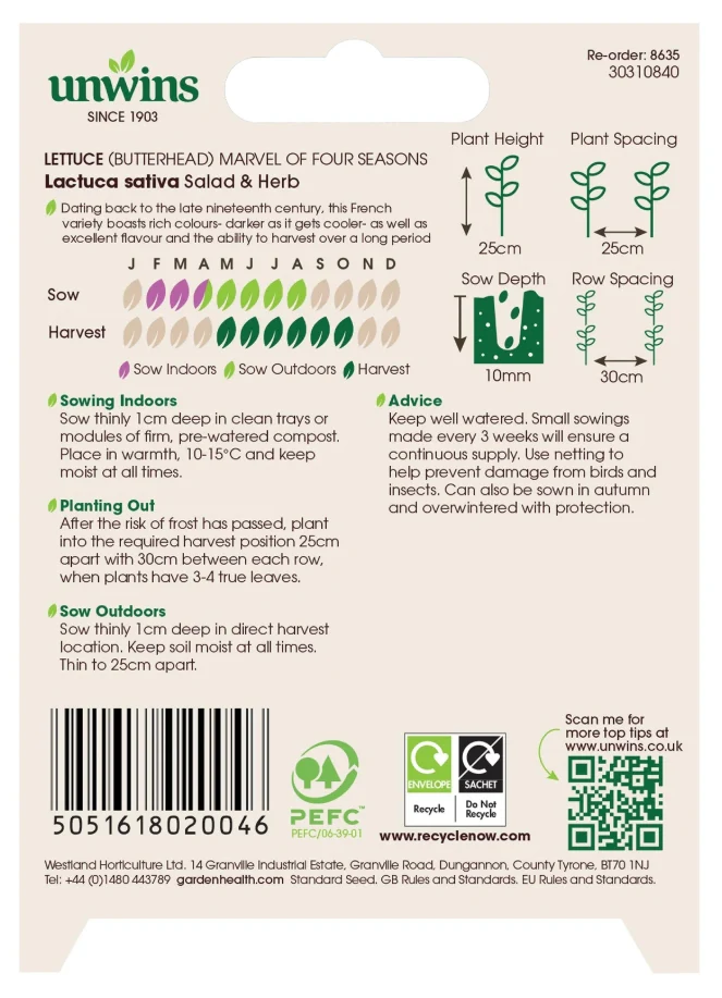 Unwins Butterhead Lettuce Marvel of Four Seasons Seeds - Image 2