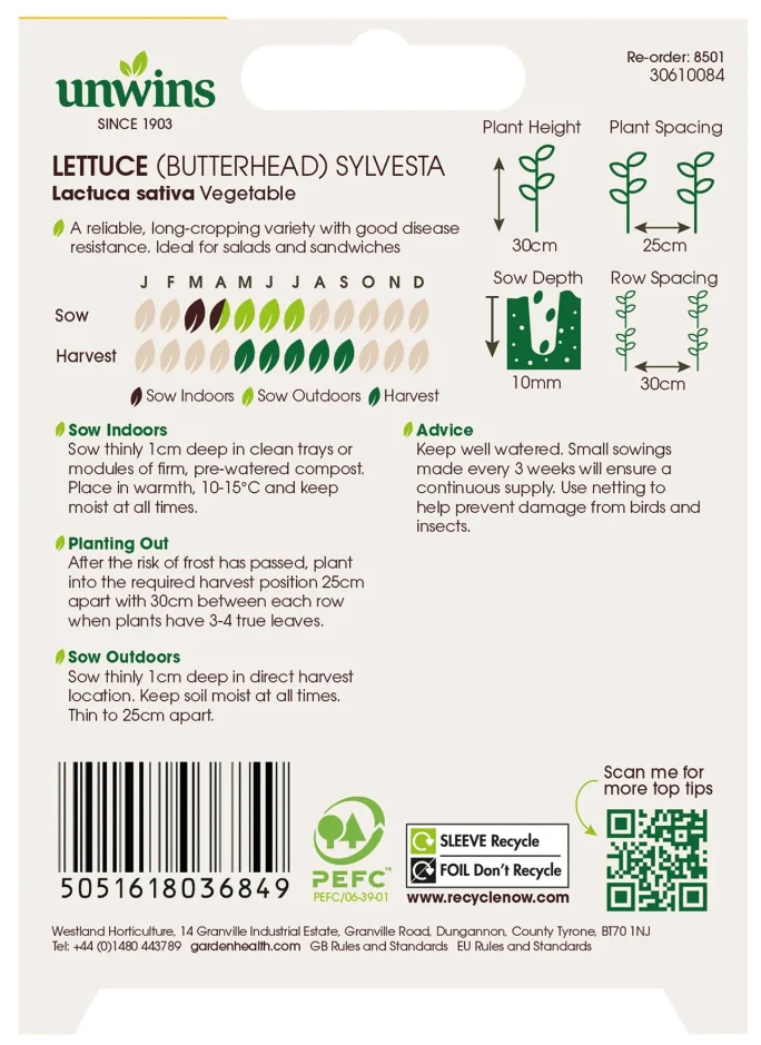 Unwins Organic Butterhead Lettuce Sylvesta Seeds - Image 2