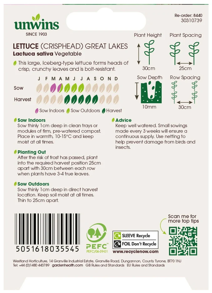 Unwins Crisphead Lettuce Great Lakes Seeds - Image 2