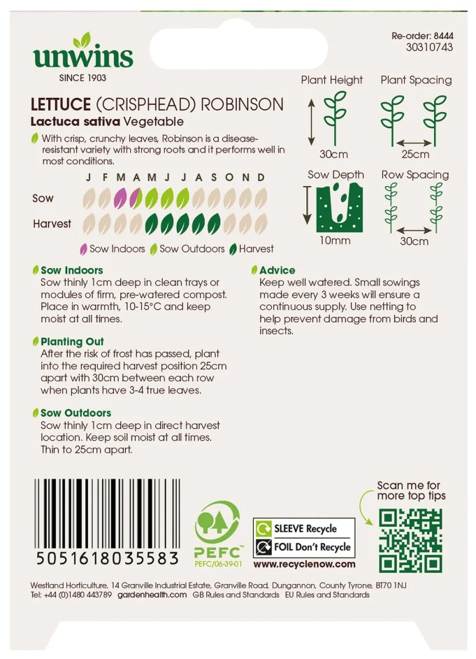 Unwins Crisphead Lettuce Robinson Seeds - Image 2
