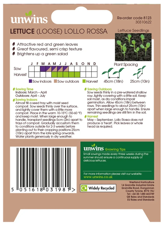 Unwins Loose Lettuce Lollo Rossa Seeds - Image 2