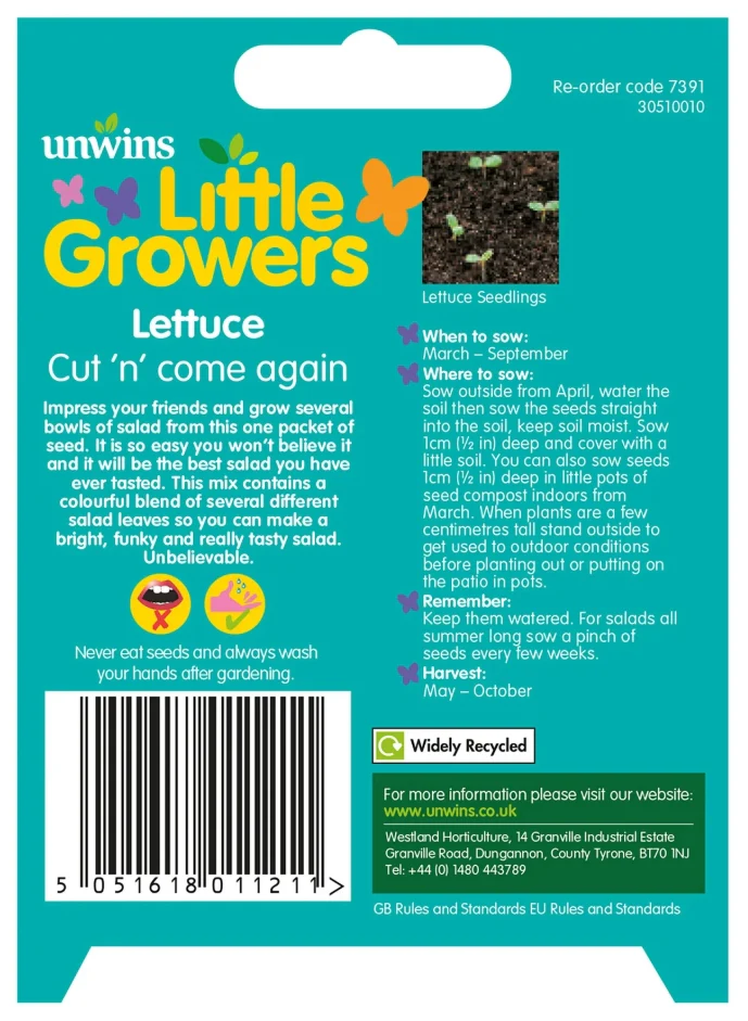 Unwins Little Growers Lettuce Cut n' come again Seeds - Image 2