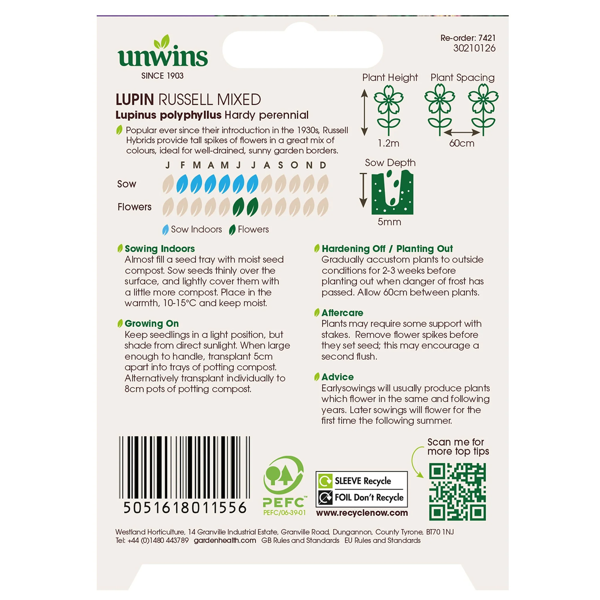 Unwins Lupin Russell Mixed Seeds - Image 2