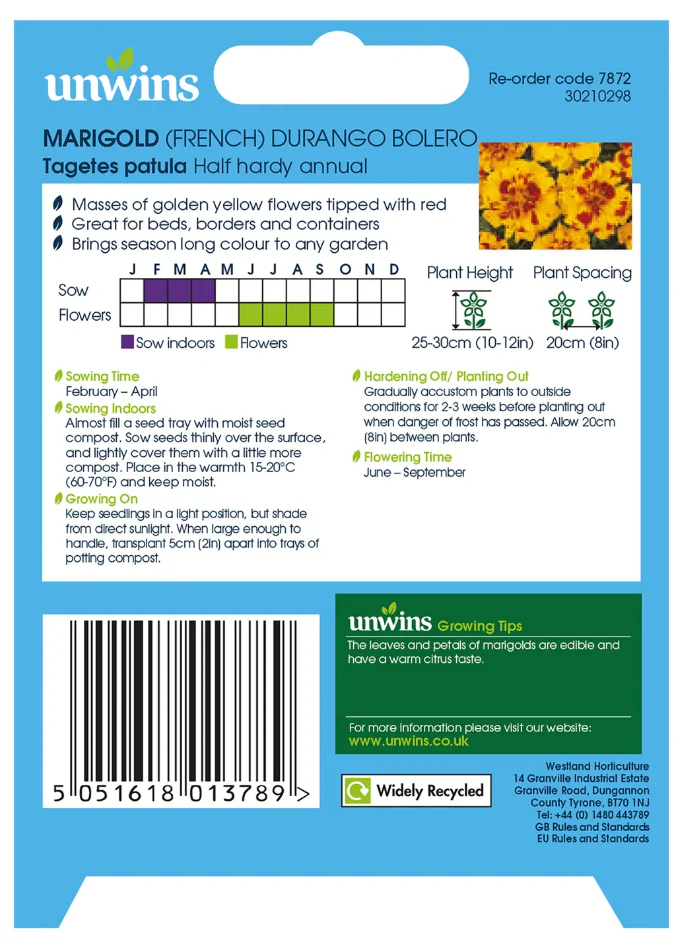 Unwins Marigold French Durango Bolero Seeds - Image 2