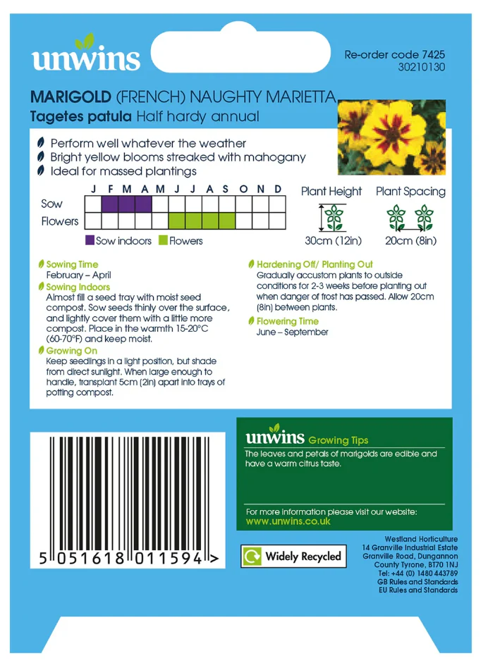 Unwins Marigold French Naughty Marietta Seeds - Image 2