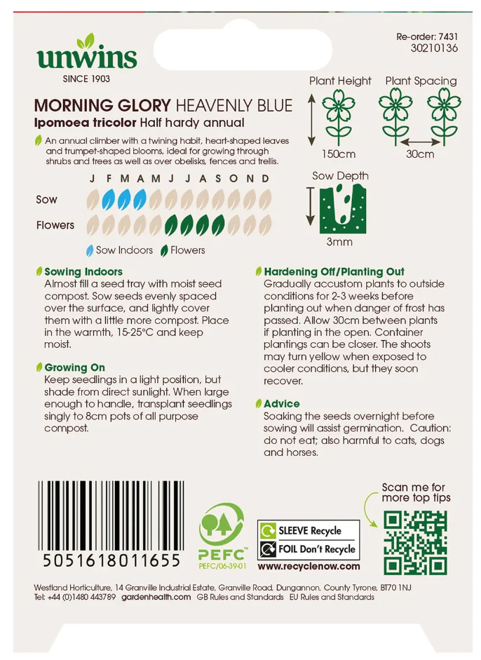 Unwins Morning Glory Heavenly Blue Seeds - Image 2