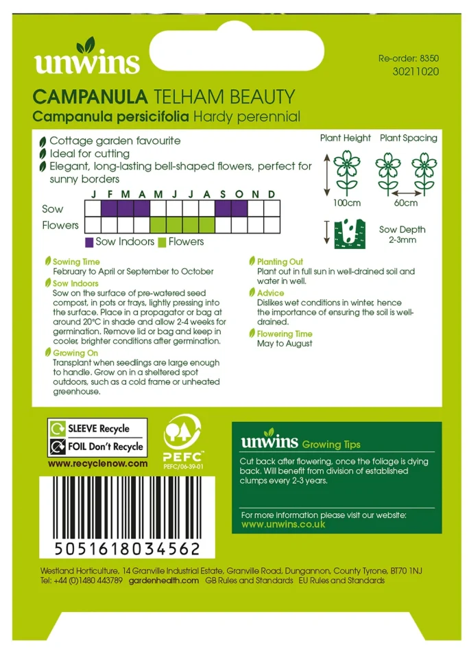 Nature's Haven Campanula Telham Beauty Seeds - Image 2