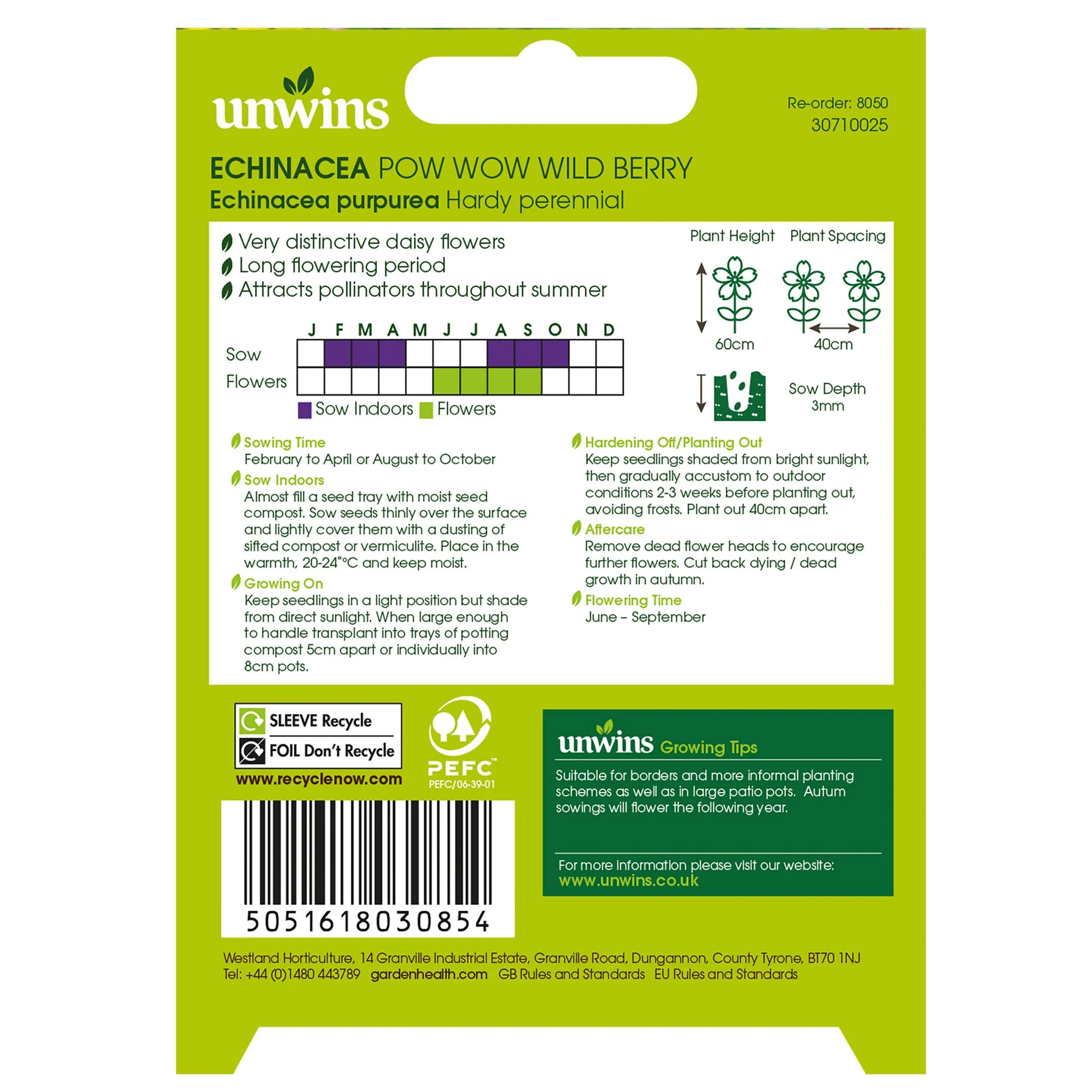 Nature's Haven Echinacea Pow Wow Wild Berry Seeds - Image 2
