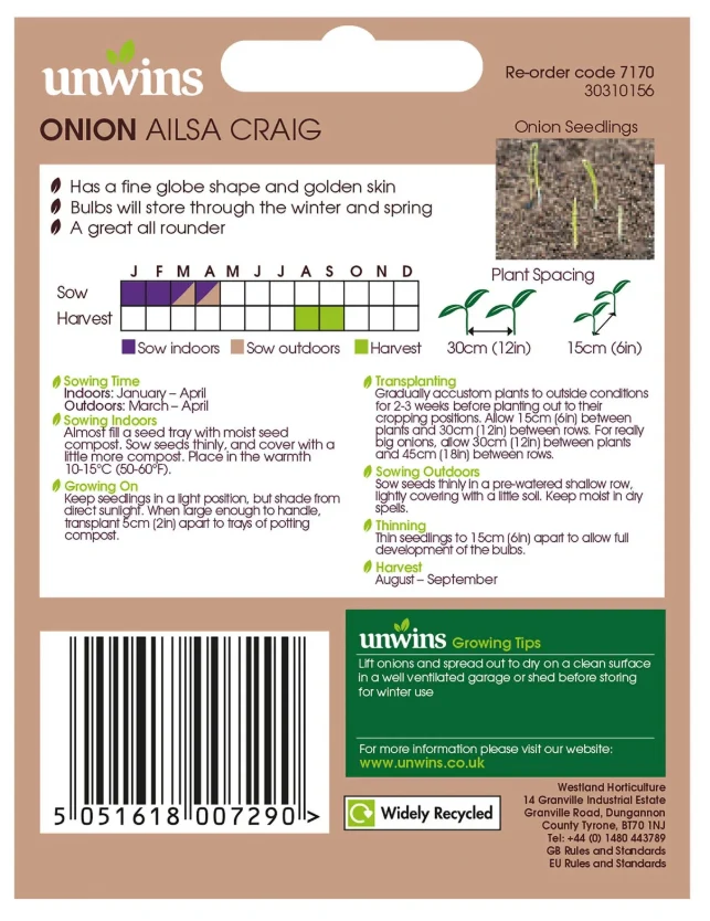 Unwins Onion Ailsa Craig Seeds - Image 2