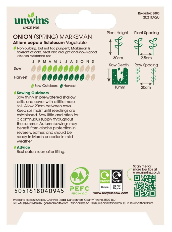 Unwins Spring Onion Marksman Seeds - Image 2
