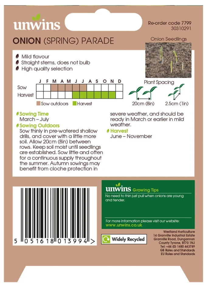 Unwins Spring Onion Parade Seeds - Image 2