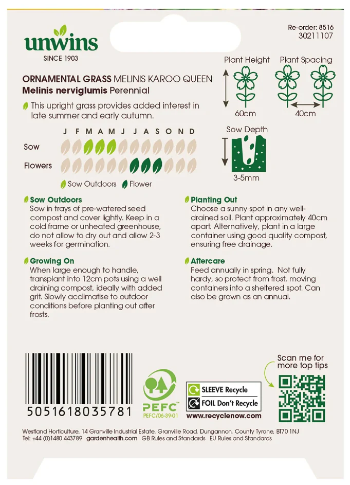 Unwins Ornamental Grass Melinis Karoo Queen Seeds - Image 2