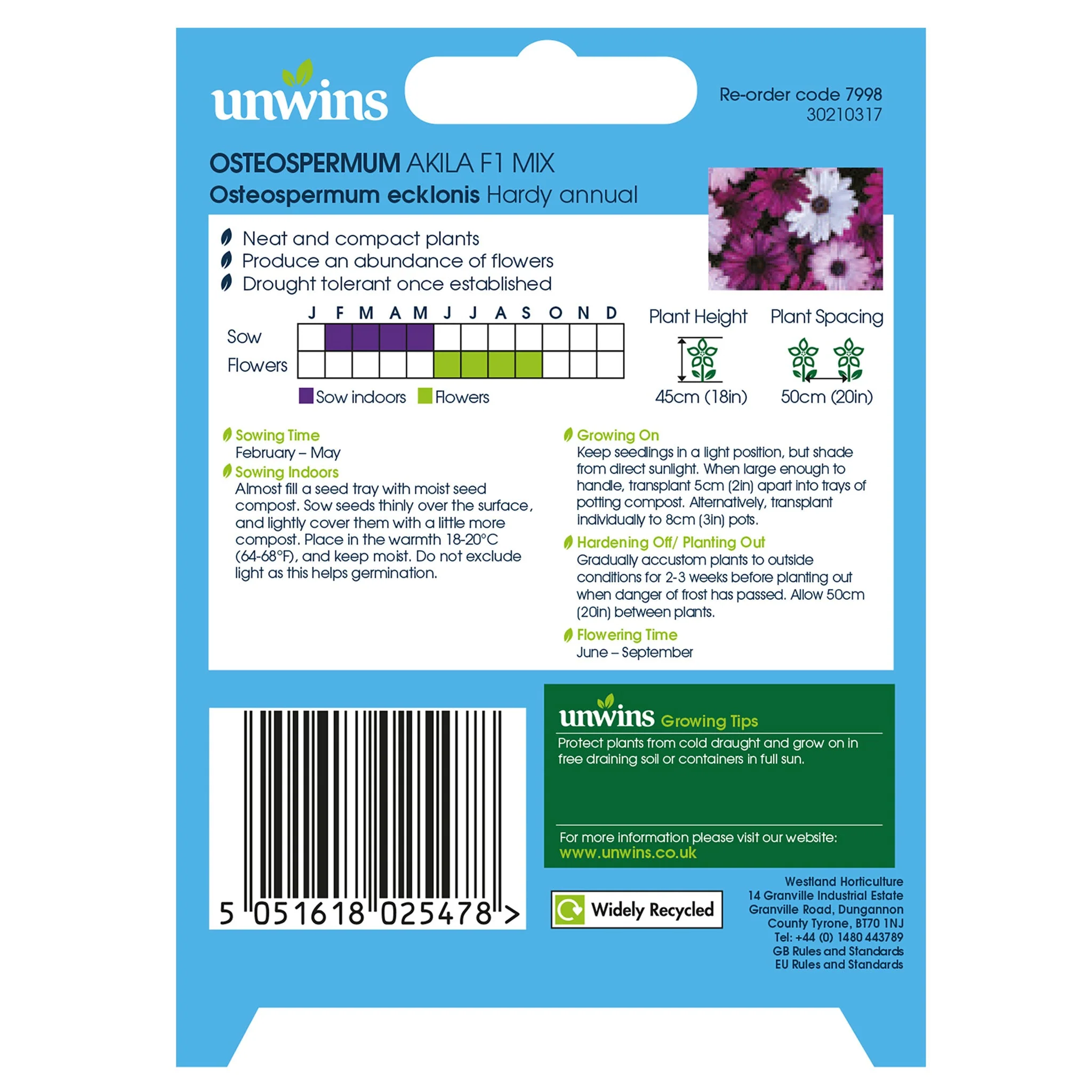 Unwins Osteospermum Akila Mix F1 Seeds - Image 2