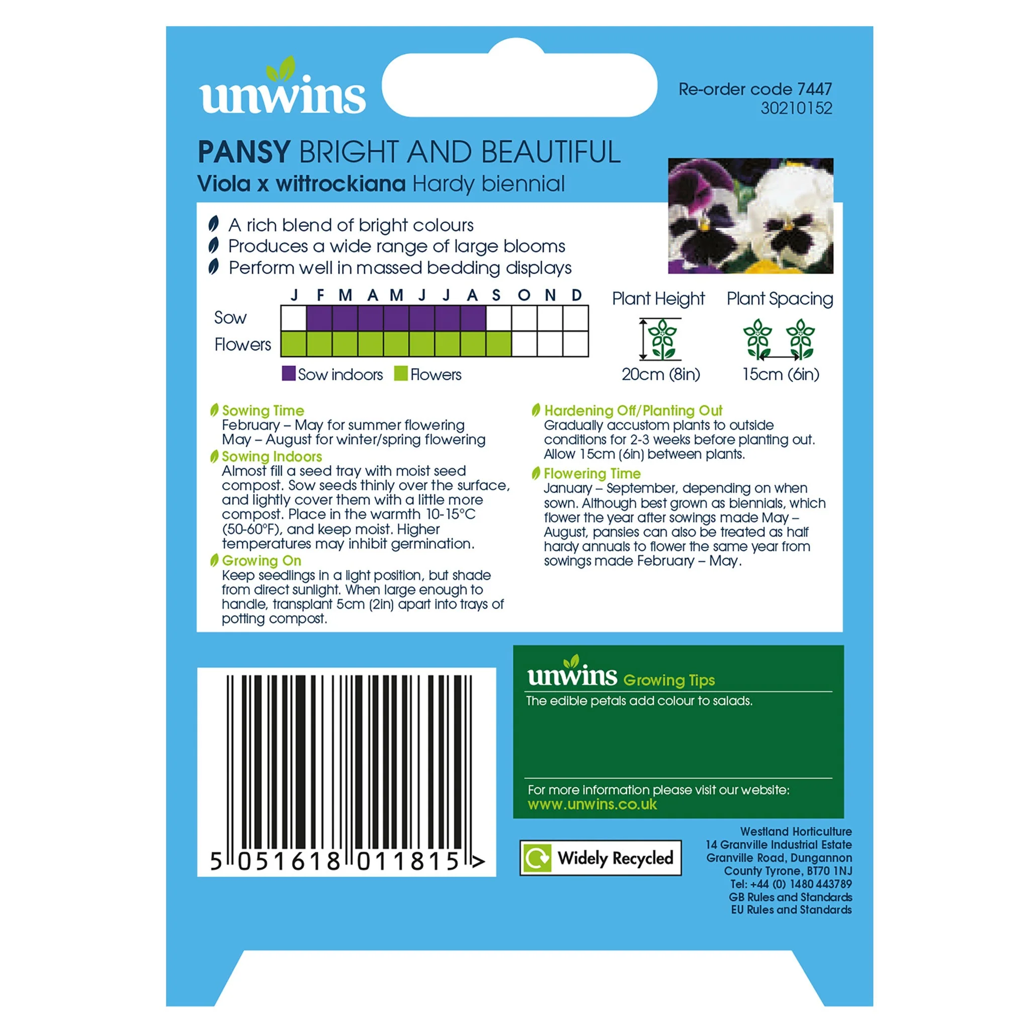 Unwins Pansy Bright and Beautiful Seeds - Image 2