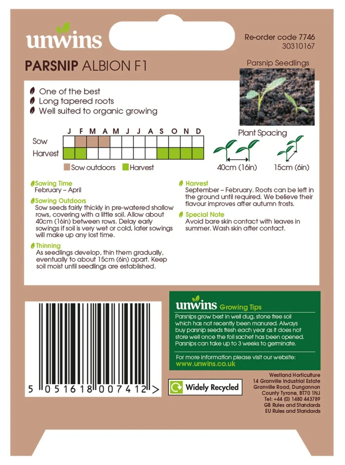 Unwins Parsnip Albion F1 Seeds - Image 2