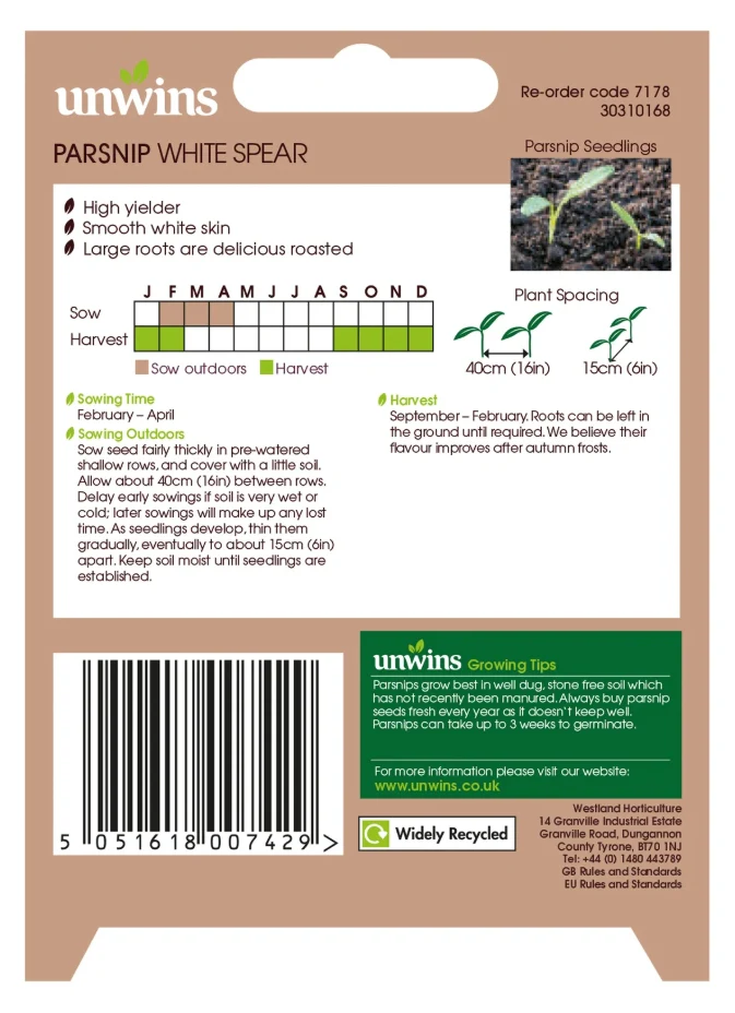 Unwins Parsnip White Spear - Image 2