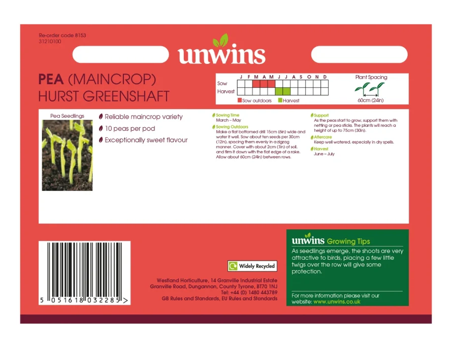 Unwins Maincrop Pea Hurst Greenshaft Seeds - Image 2