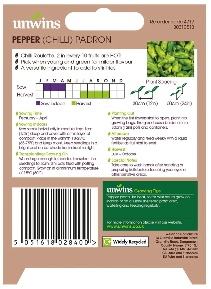 Unwins Chilli Pepper Padron Seeds - Image 2