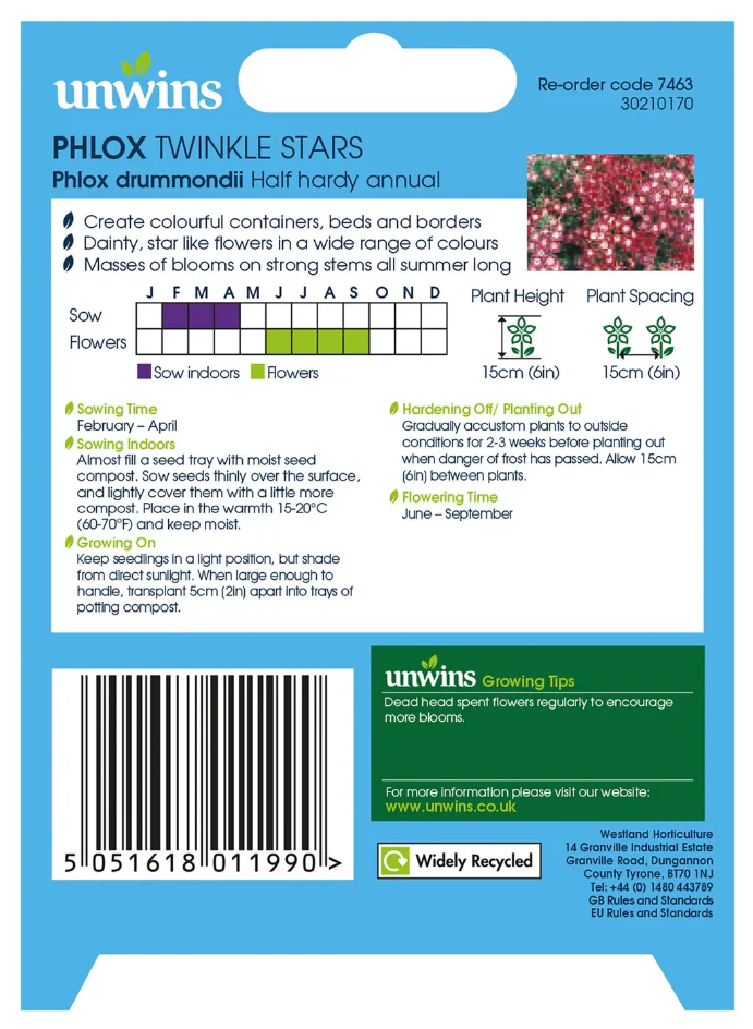 Unwins Phlox Twinkle Stars Seeds - Image 2