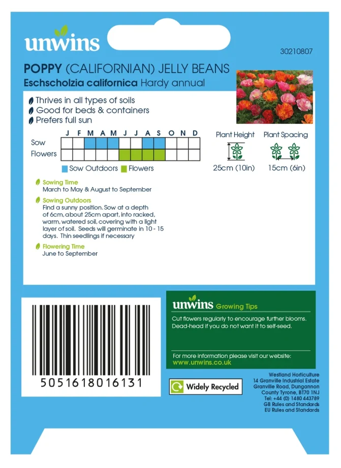 Unwins Californian Poppy XL Jelly Beans Seeds - Image 2