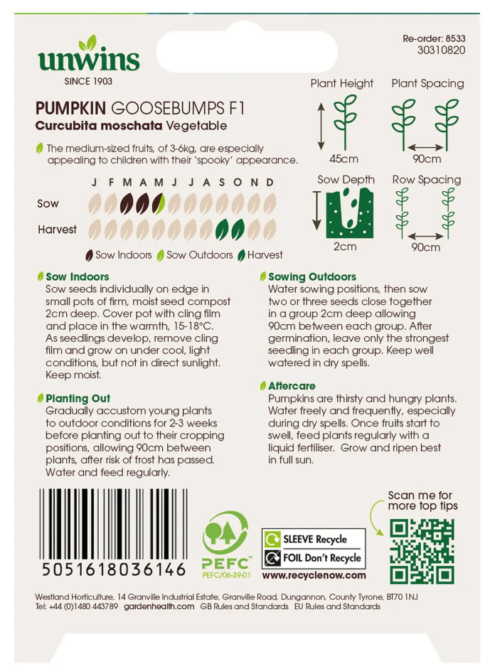 Unwins Pumpkin Goosebumps F1 Seeds - Image 2