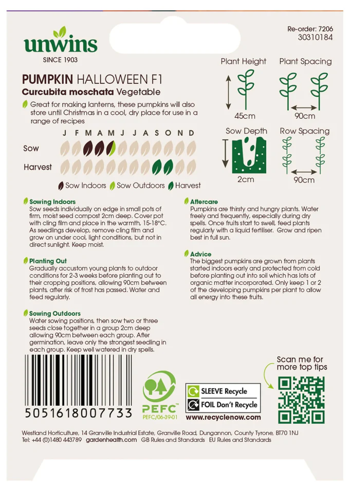 Unwins Pumpkin Halloween F1 Seeds - Image 2