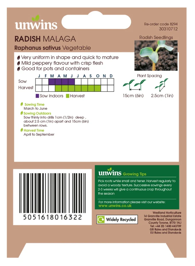 Unwins Radish Malaga Seeds - Image 2