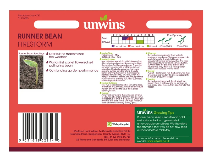 Unwins Runner Bean Firestorm Seeds - Image 2