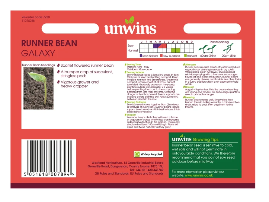 Unwins Runner Bean Galaxy Seeds - Image 2