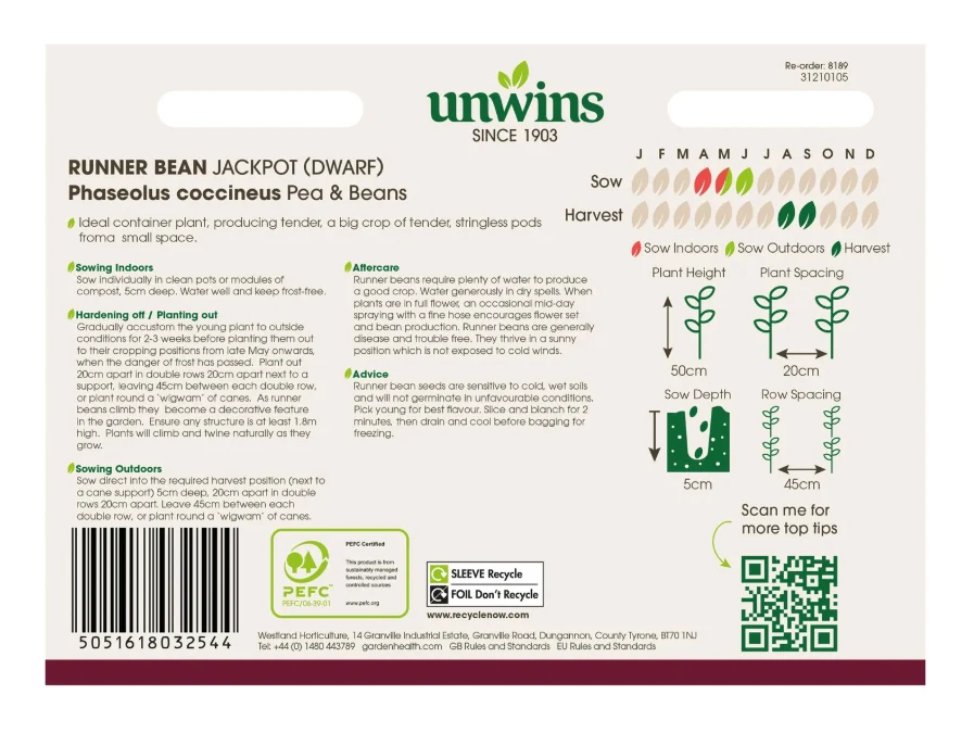 Unwins Dwarf Runner Bean Jackpot Seeds - Image 2