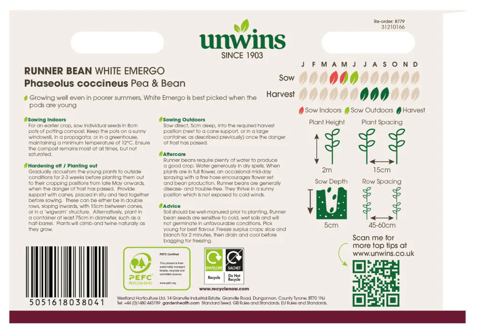Unwins Runner Bean White Emergo Seeds - Image 2