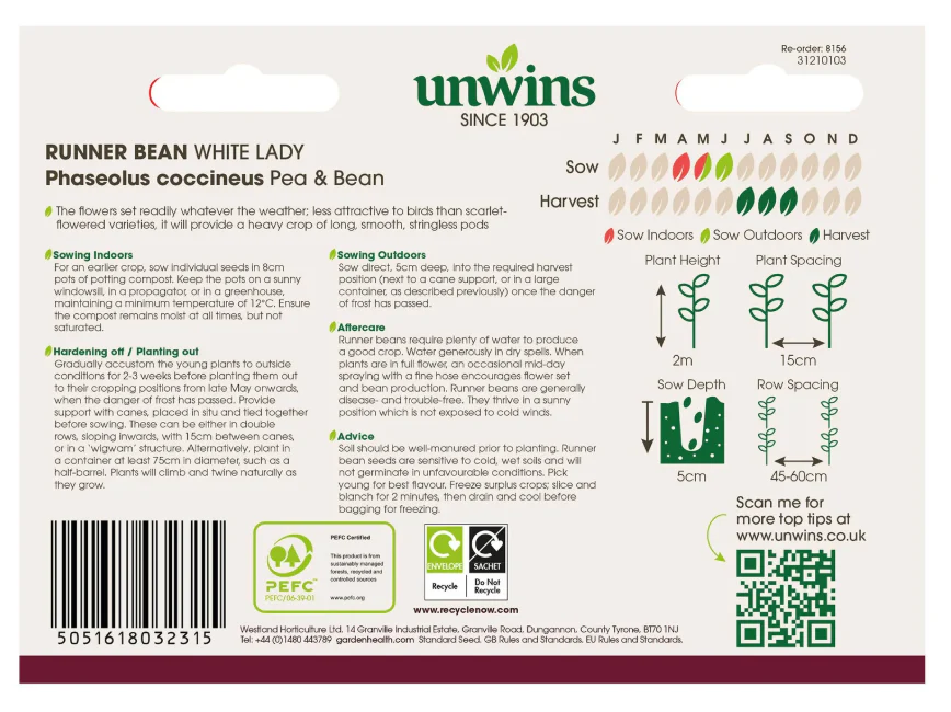 Unwins Runner Bean White Lady - Image 2