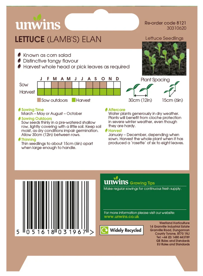 Unwins Lamb's Leaves Lettuce Elan Seeds - Image 2
