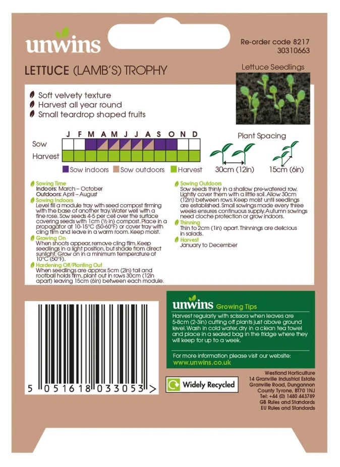 Unwins Lamb's Leaves Lettuce Trophy Seeds - Image 2