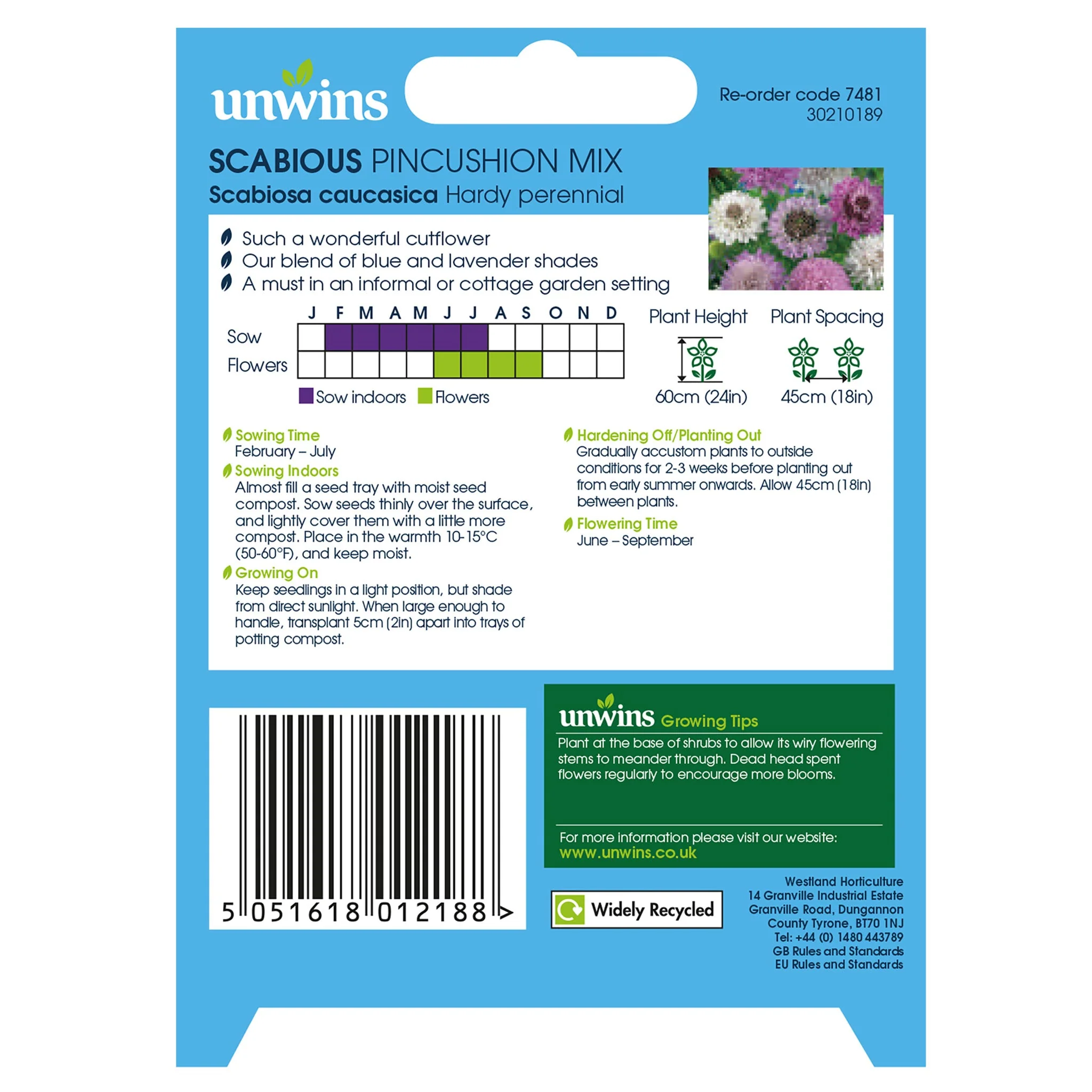 Unwins Scabious Pincushion Mix Seeds - Image 2