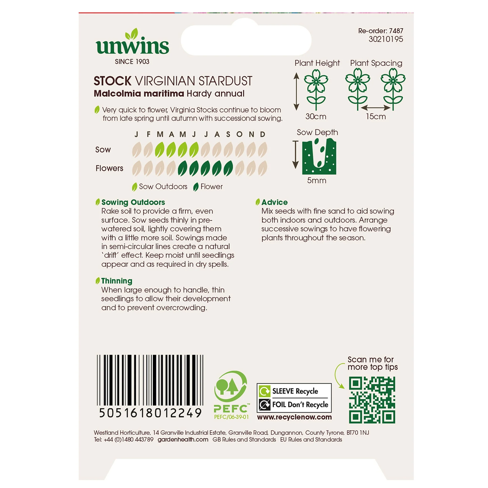 Unwins Stock Virginian Stardust Seeds - Image 2