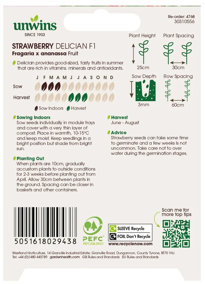 Unwins Strawberry Delician F1 Seeds - Image 2