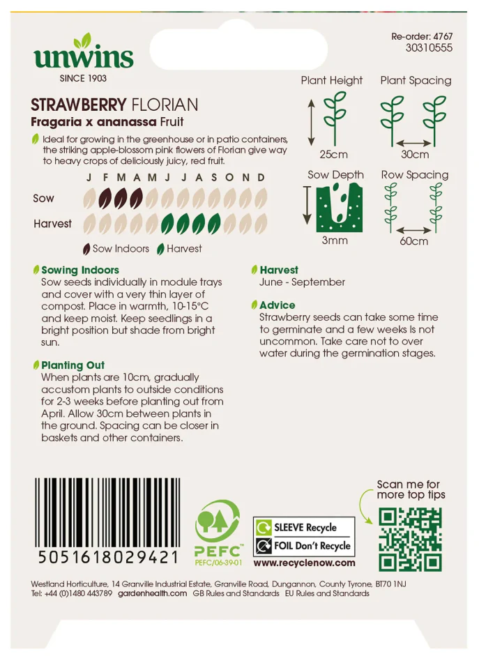 Unwins Strawberry Florian Seeds - Image 2