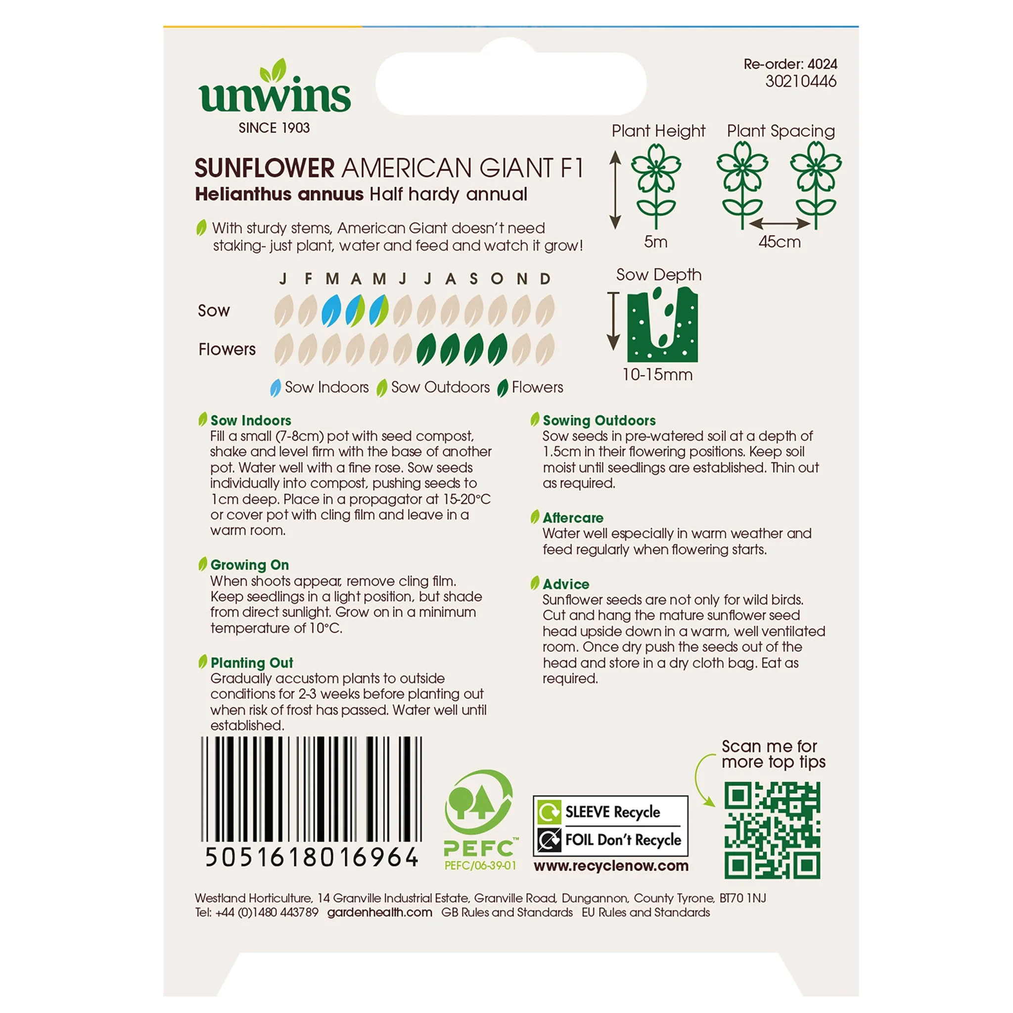 Unwins Sunflower American Giant F1 - Image 2