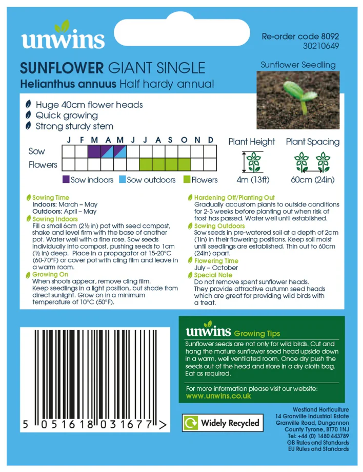 Unwins Sunflower Giant Single Seeds - Image 2