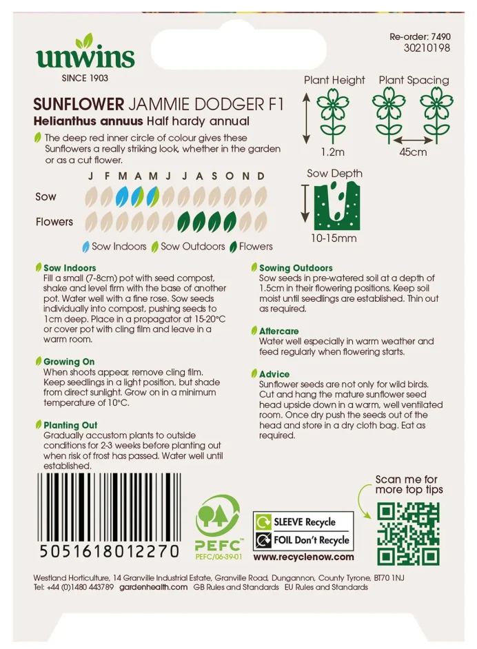 Unwins Sunflower Jammie Dodger F1 Seeds - Image 2