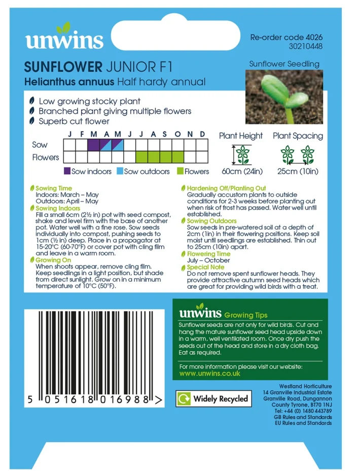 Unwins Sunflower Junior F1 Seeds - Image 2