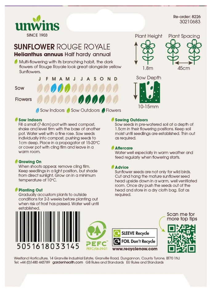 Unwins Sunflower Rouge Royale Seeds - Image 2