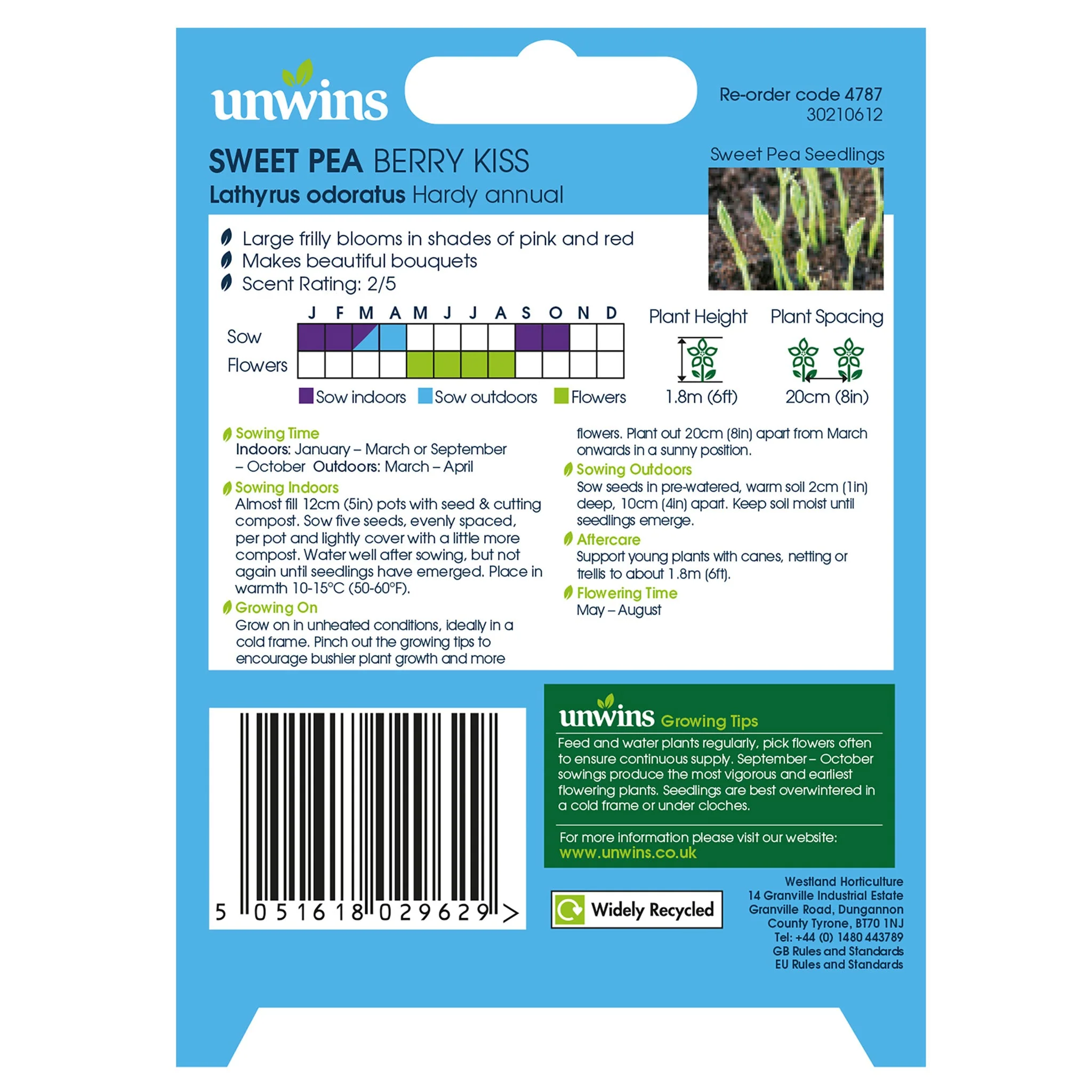 Unwins Sweet Pea Berry Kiss Seeds - Image 2