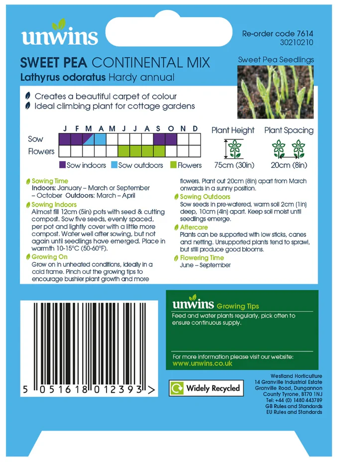 Unwins Sweet Pea Continental Mix Seeds - Image 2