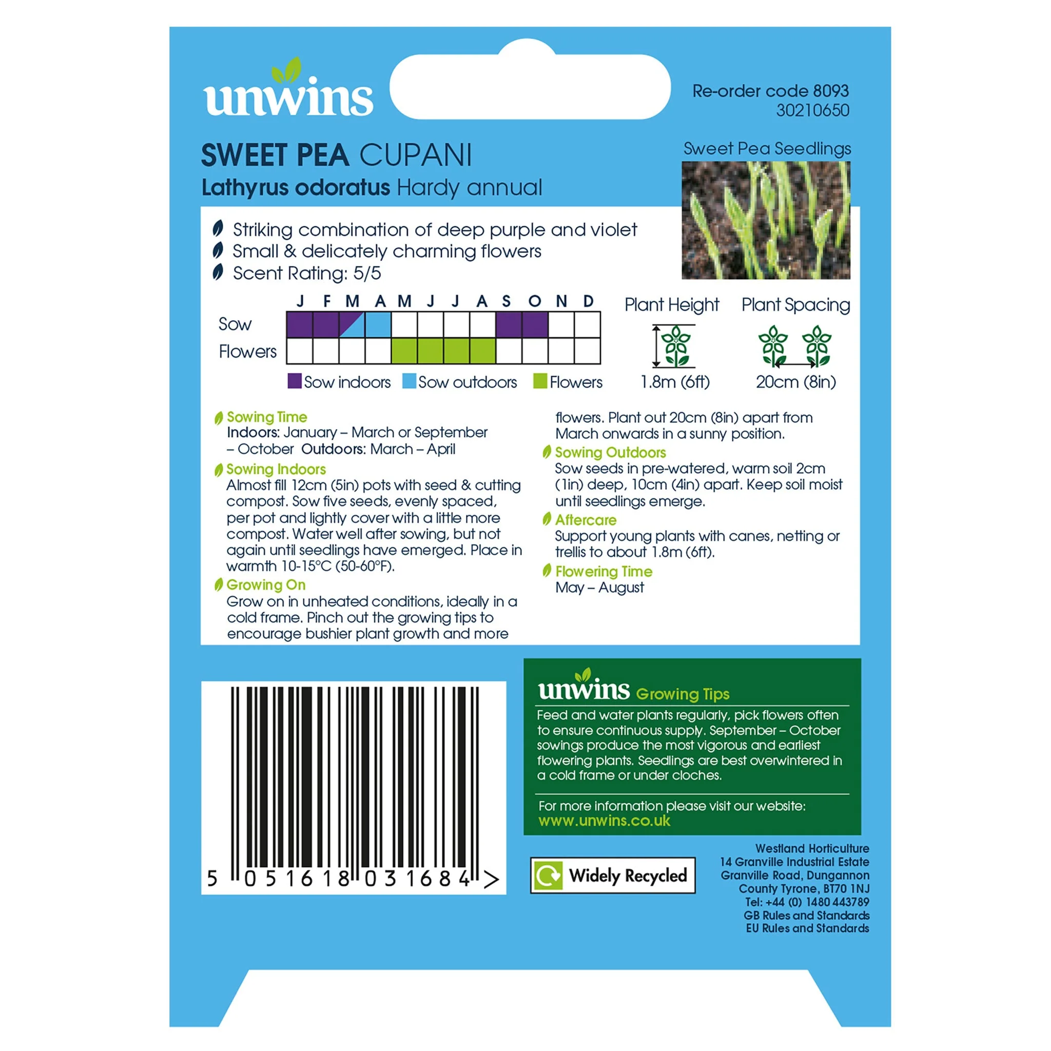 Unwins Sweet Pea Cupani Seeds - Image 2