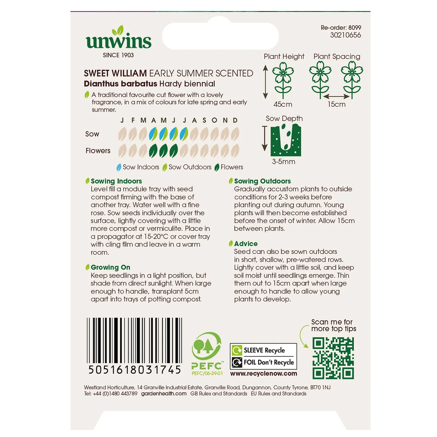 Unwins Sweet William Early Summer Scented - Image 2