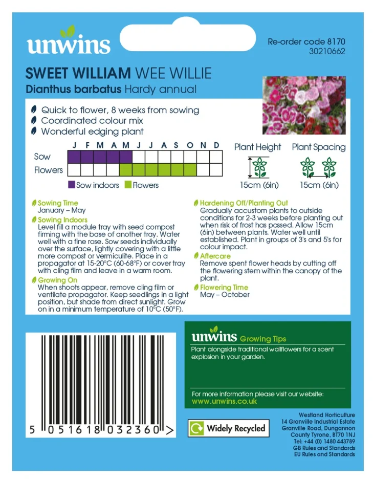 Unwins Sweet William Wee Willie Seeds - Image 2